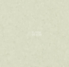 Линолеум Forbo Sphera Element 50047 pale green фото 1 | FLOORDEALER